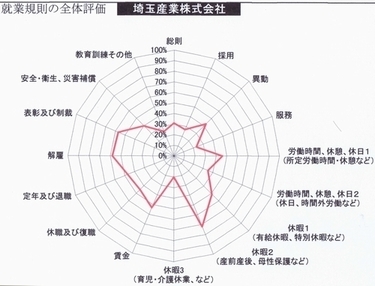 レーダーチャート375.jpg